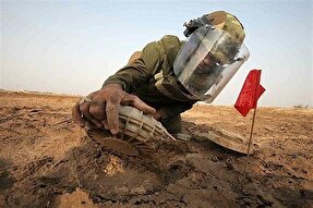 ضرورت تشکیل کمیته‌های استانی پایش آمار شهدای مفقودالاثر