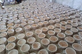 عکس | اطعام غدیر در یزدان‌آباد