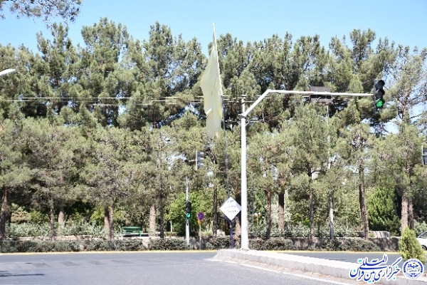 یک شهر به رنگ علی(ع)