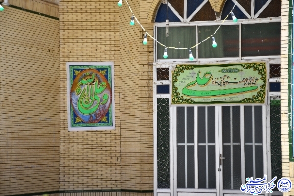 یک شهر به رنگ علی(ع)
