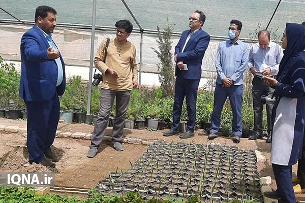 نصب 4 سردیس شهدای انقلاب در یزد