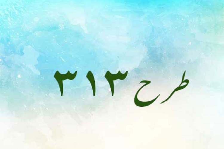 طرح« 313» طرح« 313»