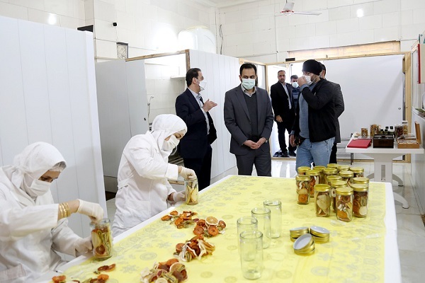 بنیاد برکت