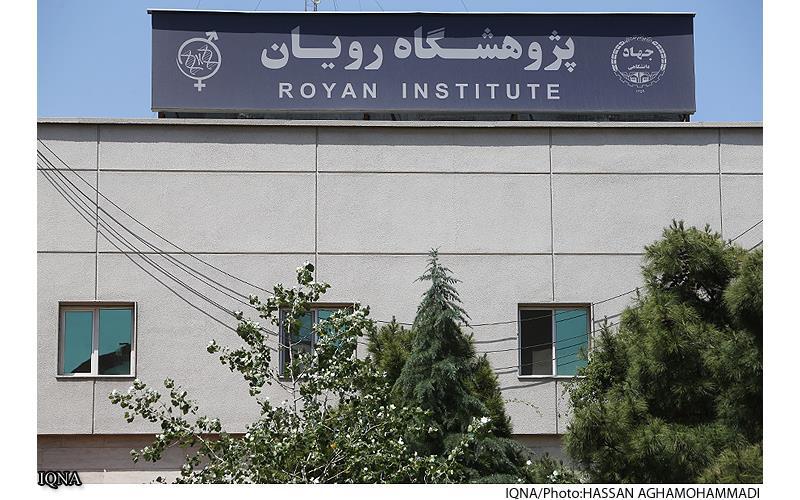 یک شنبه/ چرا مسلمانان اروپا و آمریکا برای درمان ناباروری به ایران می‌آیند