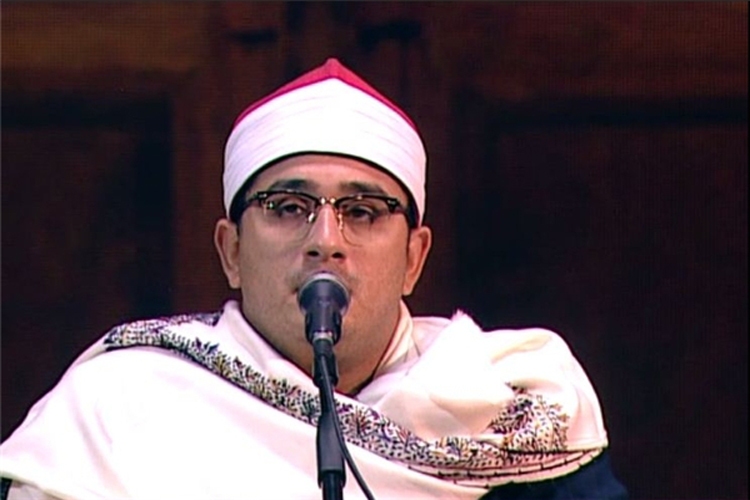 محمود شحات محمد انور