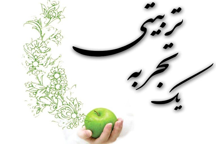 بانوی فرهنگی یزدی رتبه برتر جشنواره &laquo;تجارب برتر&raquo; را کسب کرد
