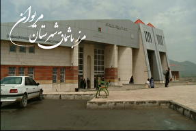 کلیپ | مرز باشماق مریوان میزبان اربعین حسینی