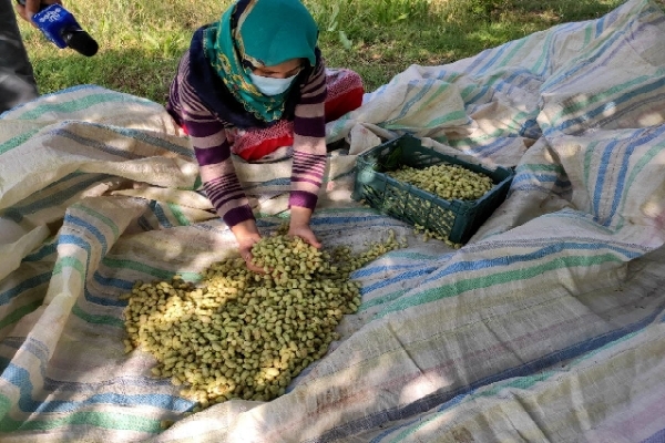 روستای نمهیل شهرستان خلخال
