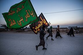 بهره‌مندی از بیمه و تسهیلات سفر؛ مزیت ثبت‌نام زائران اربعین در سامانه سماح