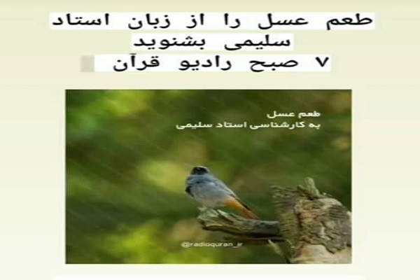 طعم عسل