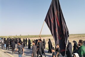 عکس | عزاداری اربعین حسینی در کرمان