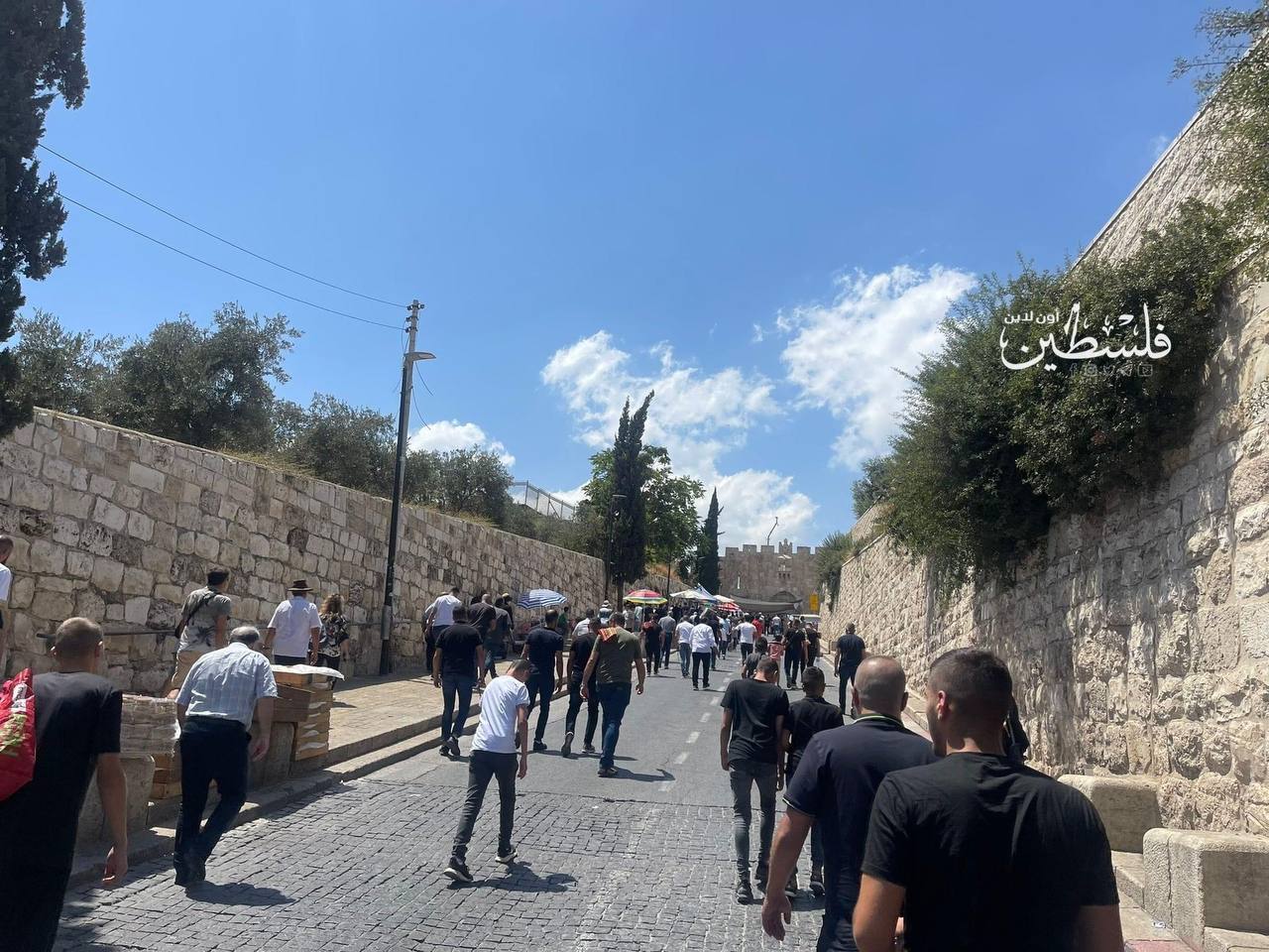 مشارکت 50 هزار نفری فلسطینیان در نماز جمعه مسجدالاقصی
