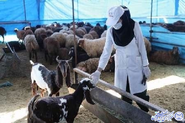 دامپزشک زن