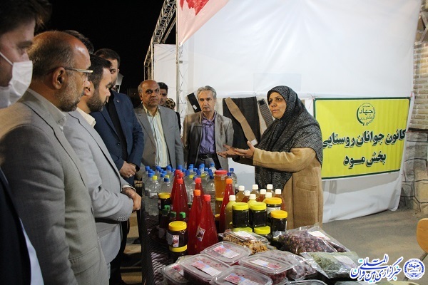 نمایشگاه صنایع دستی «به رنگ زرشک» در خراسان‌جنوبی