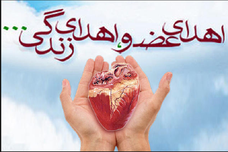 اهدای عضو