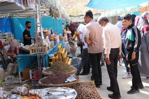 جشنواره «انگور»