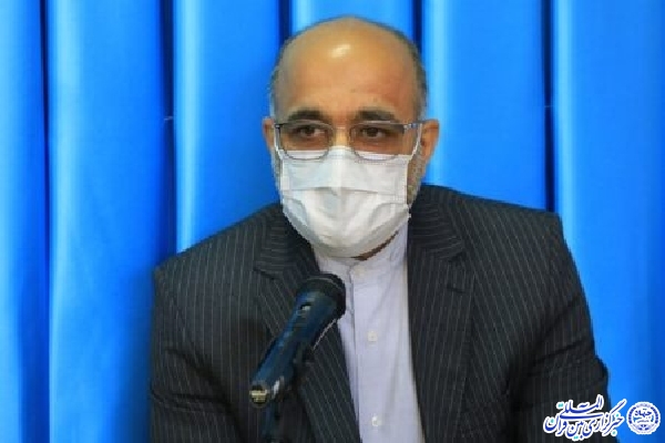 علی فاضلی فرد، فرماندار بیرجند
