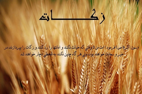زکات زکات