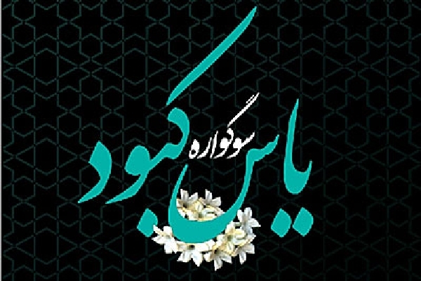 کارشناس بانوان تبلیغات اسلامی اردبیل