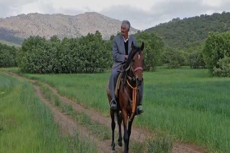 مستند «کوهستان بی‌صدا»
