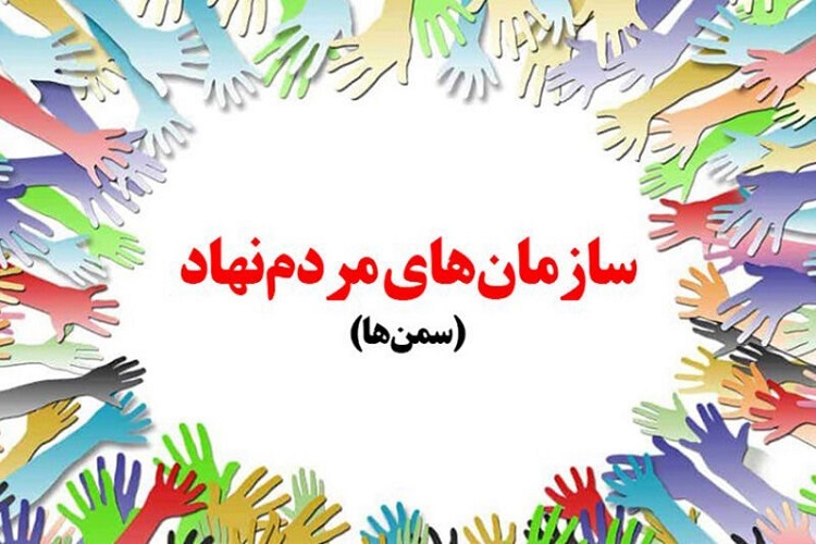 سازمان مردم نهاد، سمن