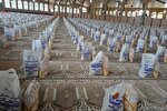 توزیع ۴۸۰۰ بسته معیشتی بین نیازمندان در کهگیلویه‌وبویراحمد