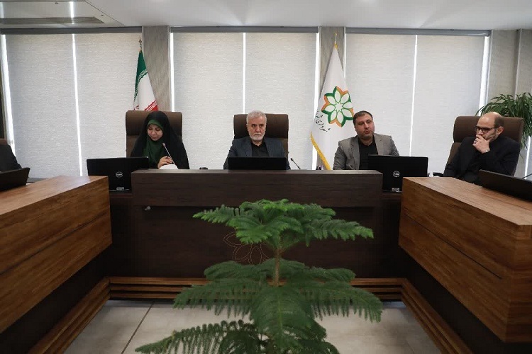 نشست کارگروه توانمندسازی زنان سرپرست خانوار شیراز
