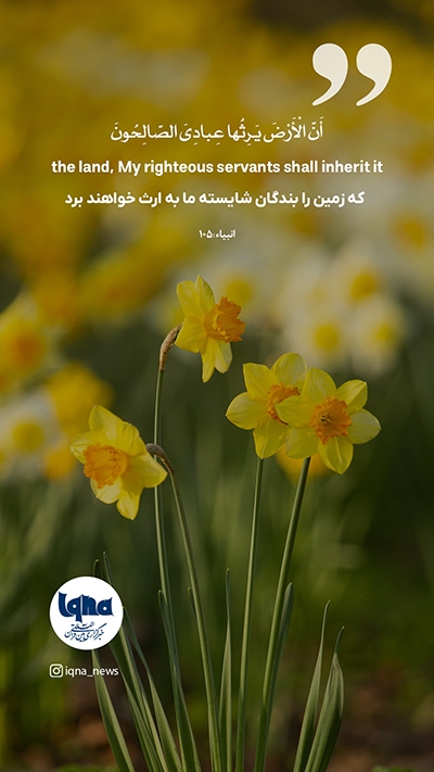 قرآن را شمرده شمرده بخوانید