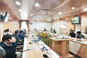 پیش همایش بین‌المللی «مقاومت، شهیدالقدس و غزه» در کرمان برگزار شد