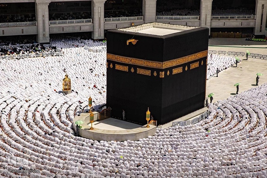 برخط جامعه