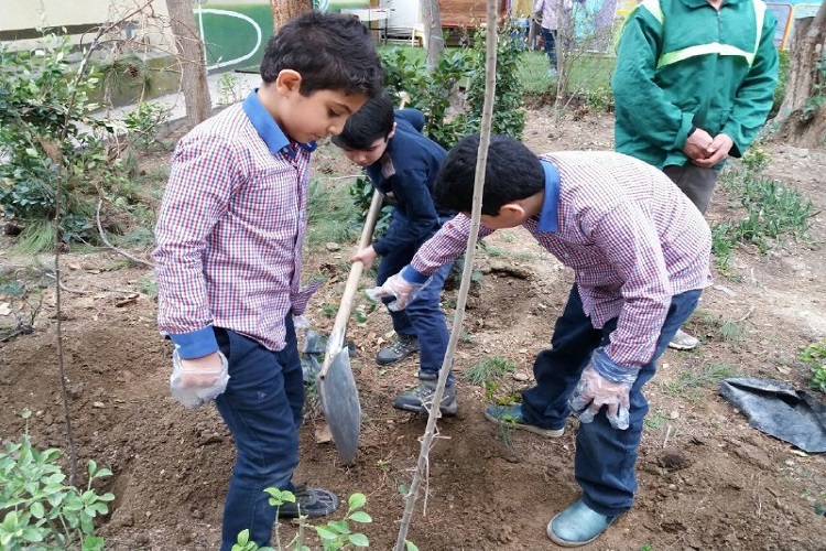 کاشت نهال
