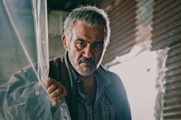 جشنواره فیلم فجر