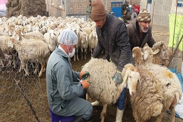 عشایر محروم