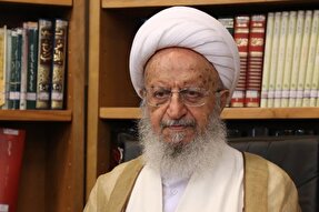 انتخاب افراد صالح مشکلات کشور را حل می‌کند