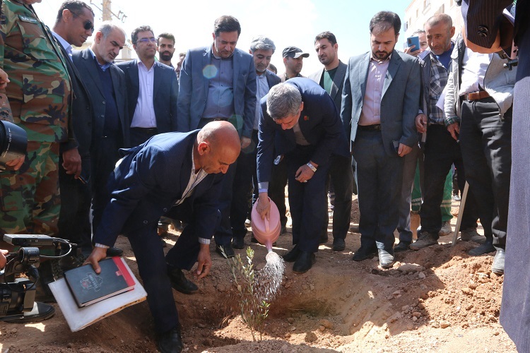 کاشت نهال، شیراز
