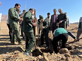 کاشت ۲۰۰ هزار نهال به همت جهادگران در خراسان جنوبی