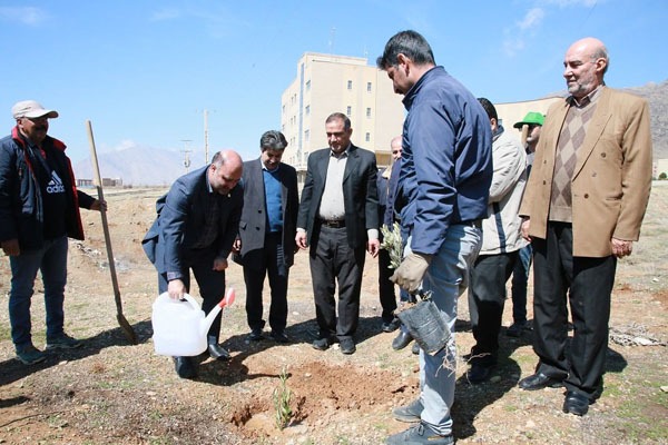 کاشت نهال به یاد شهدا در دانشگاه لرستان