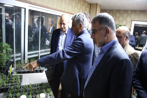 بازدید وزیر علوم از مجتمع کشت و صنعت خرم‌آباد