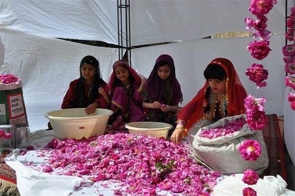 جشنواره گلابگیری در سنندج