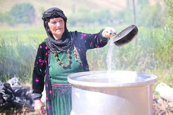 جشنواره گلابگیری در سنندج
