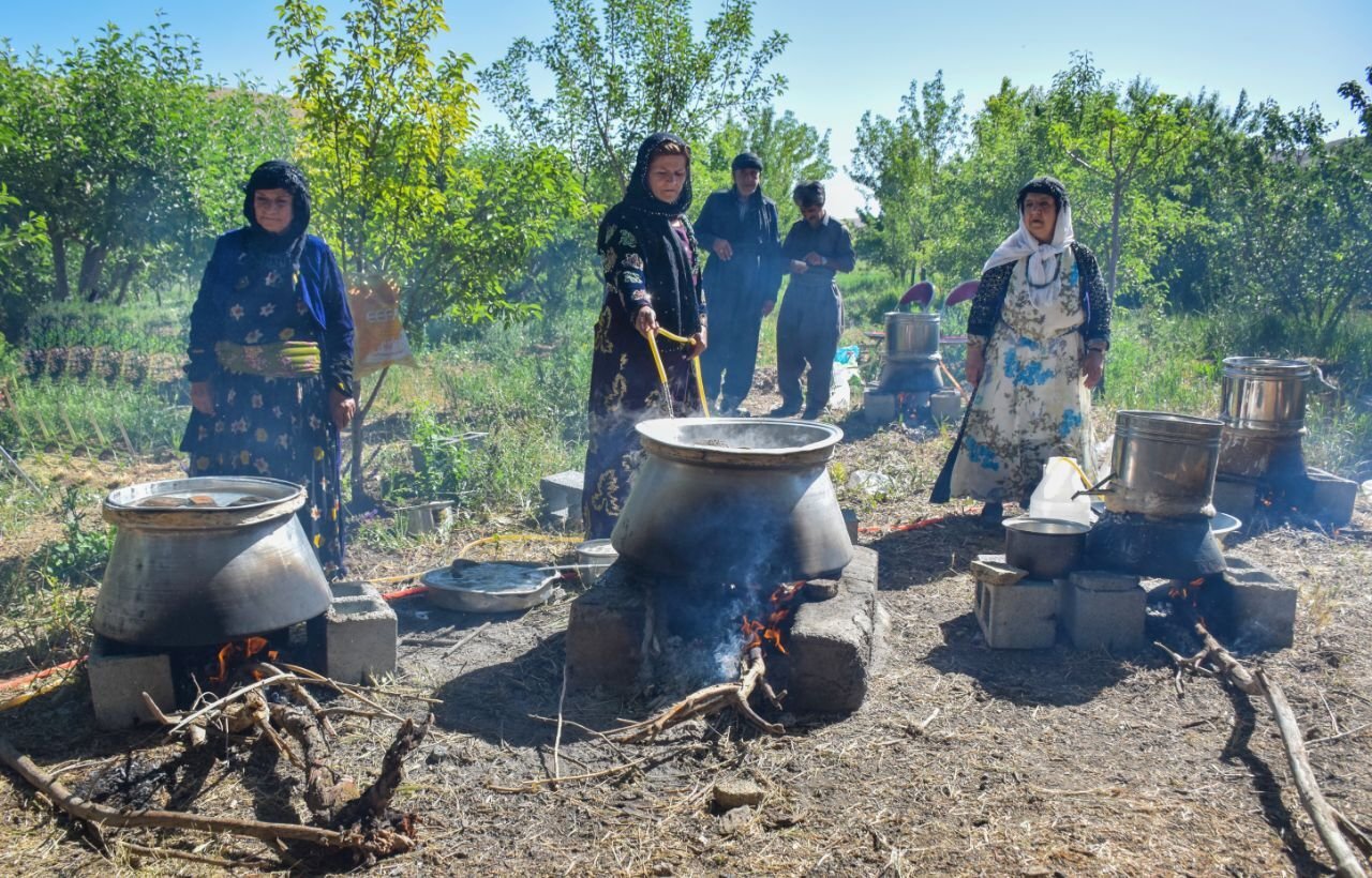 جشنواره گلابگیری