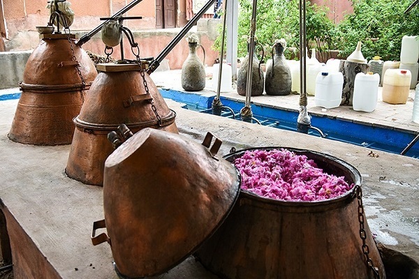 جشنواره گلاب‌گیری