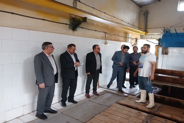 بازدید جانشین ستاد اربعین ایلام از کارخانه‌های یخ ایلام