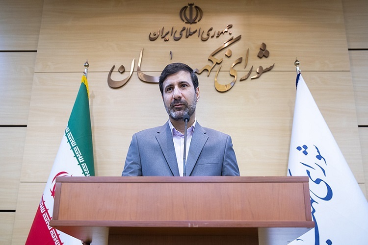 هادی طحان‌نظیف، سخنگوی شورای نگهبان