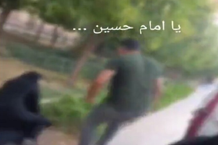 ضرب و شتم بانوی آمر به معروف، موزه نارنجستان قوام شیراز