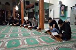عکس | احیای ختم قرآن شب عاشورا در تالش