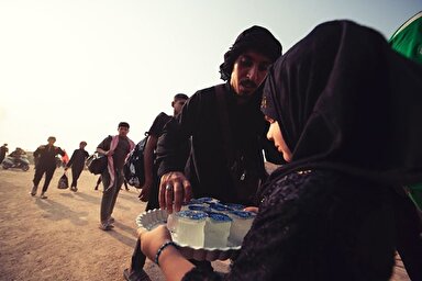 استوری موشن | دعای اهل بیت در حق زائر حضرت سیدالشهدا(ع)