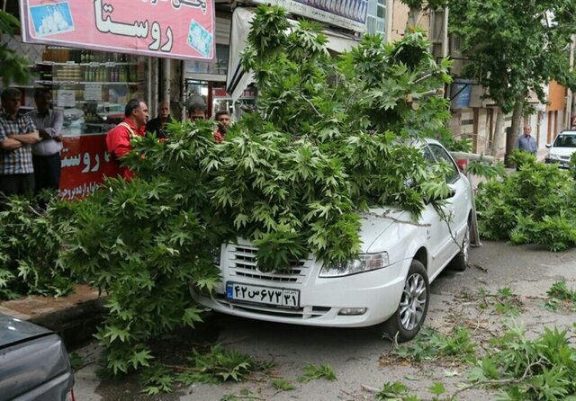 خسارات طوفان