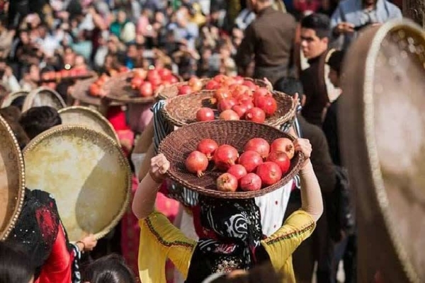 جشن شکرگزاری برداشت انار