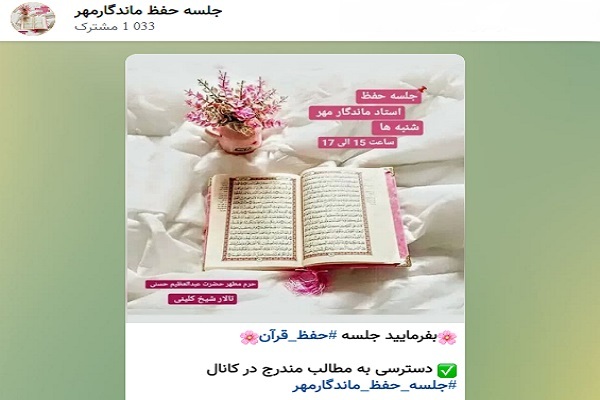 فعالیت جلسه تخصصی حفظ «الهام ماندگارمهر» در فضای مجازی